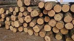 В продаже твёрдые породы дров.