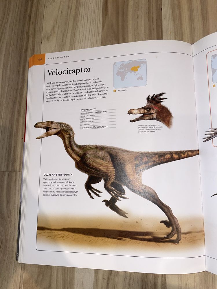 Encyklopedia Dinozaury
