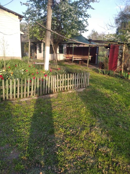 Продам будинок с.Осовець Чернігівська обл. за 75 км. від Києва!