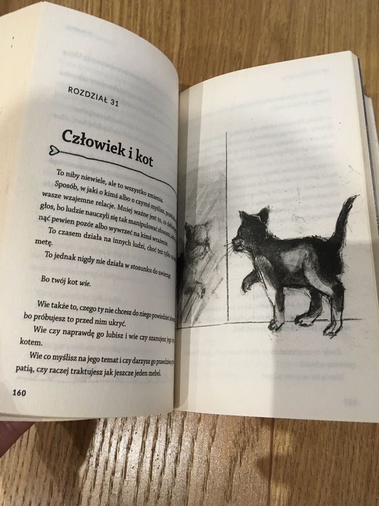 Książka kot dla początkijacych Pawlikowska Beata