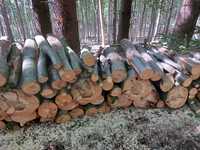 Drewno kominkowe opałowe buk