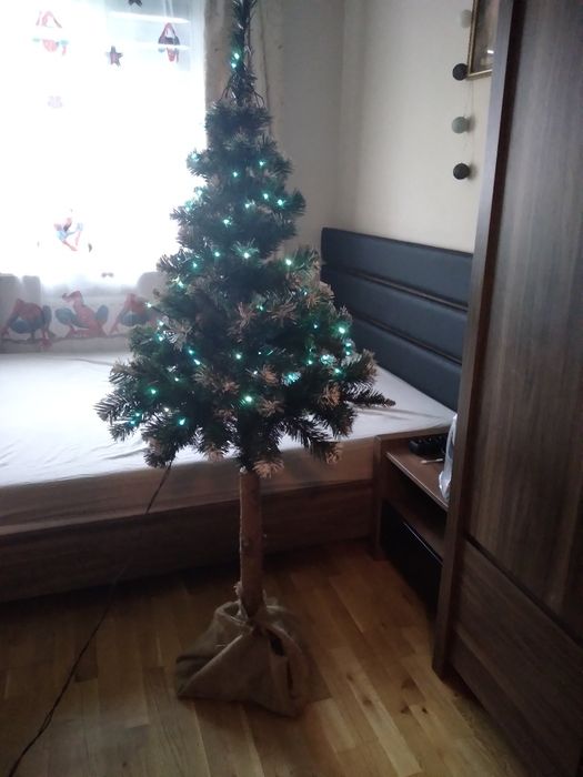 Choinka na pniu 180cm plus oswietkenie niebieskie