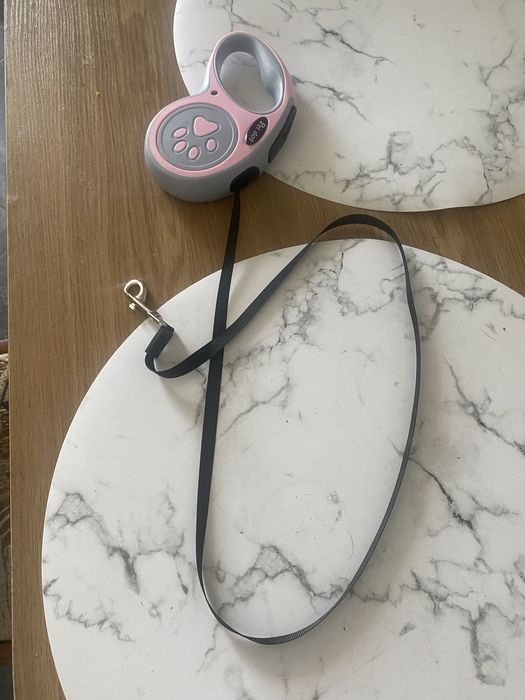 Рулетка для прогулок