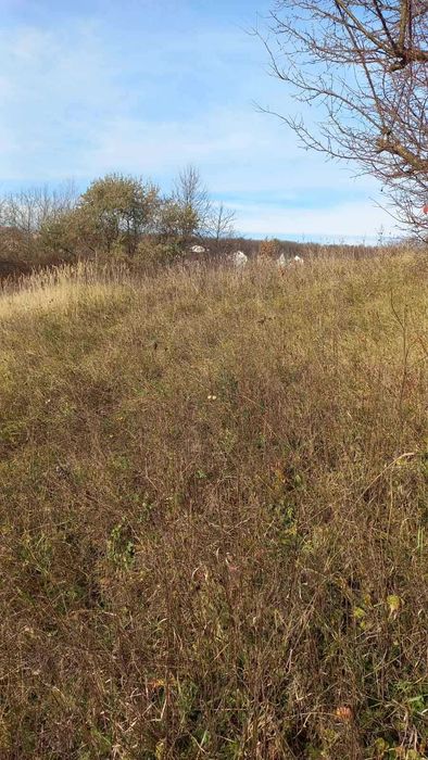 Продаж земельної ділянки під житлову забудову, Лезнево (вул. Ярова)