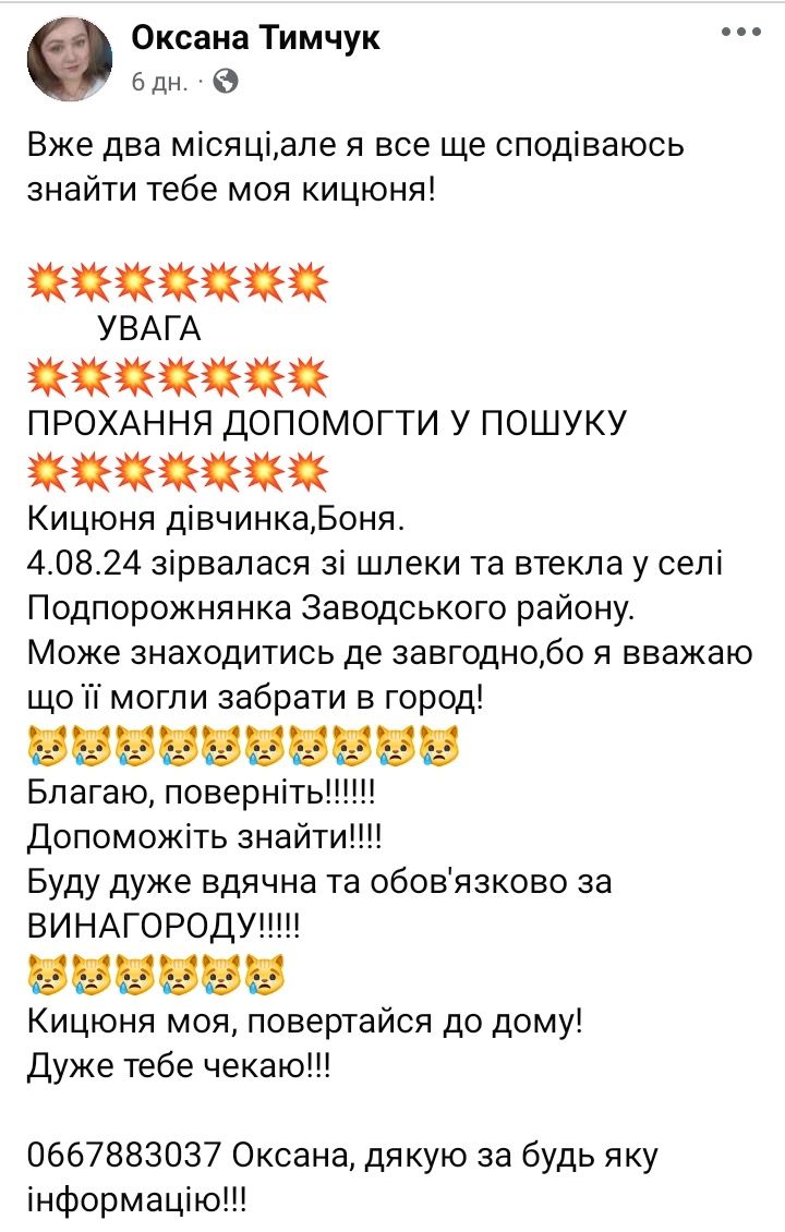 Увага! Допоможіть у пошуку!!! Розшукують кицьку!!!Боня!!!