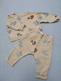 Komplet dziecięcy, dres, bluza+spodnie, Sinsay, rozmiar 74