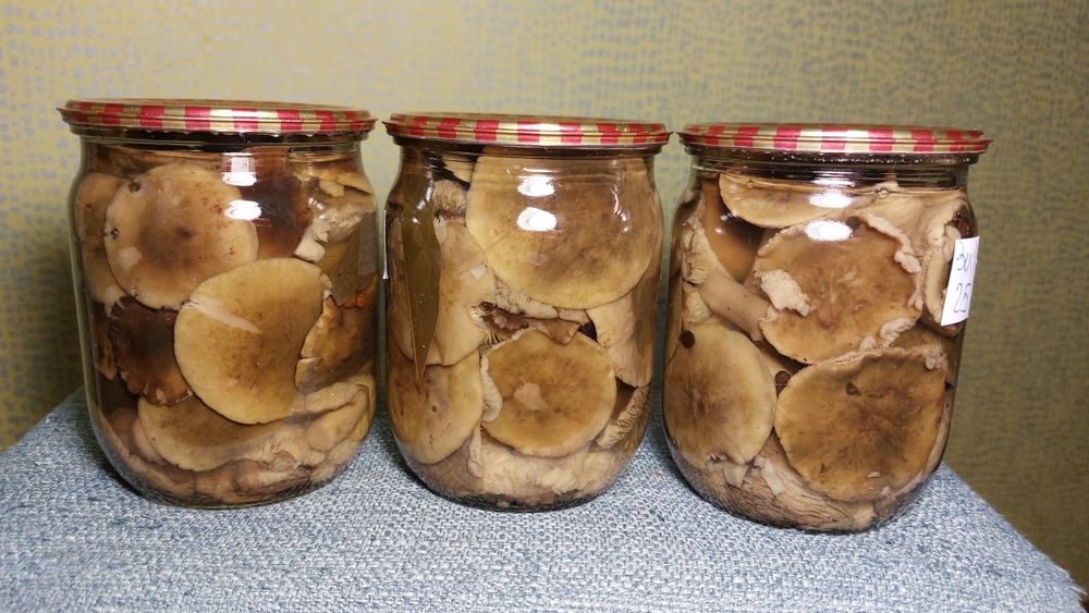 Гриби в асортименті мар. 2025 року
