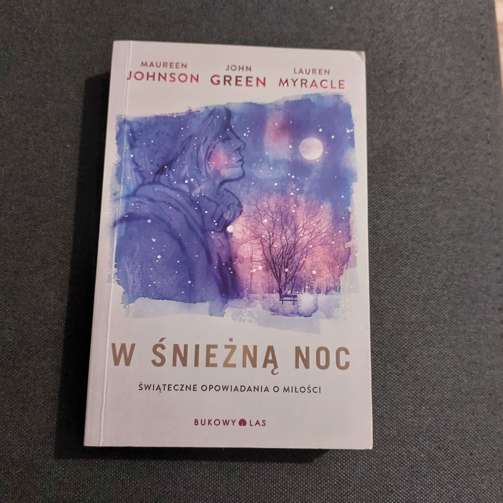 Książka " W śnieżną noc"