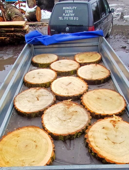 Plaster topola na stolik