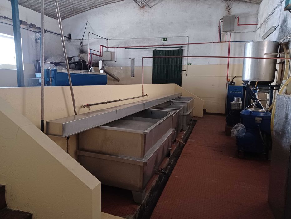 Lagar - Equipamento completo para venda