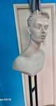 Manequim de Marca usado Exposição Busto com base em Madeira completo.