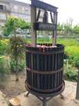 Prensa para uvas