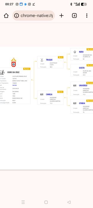 Égua lusitana pontuada e cheia