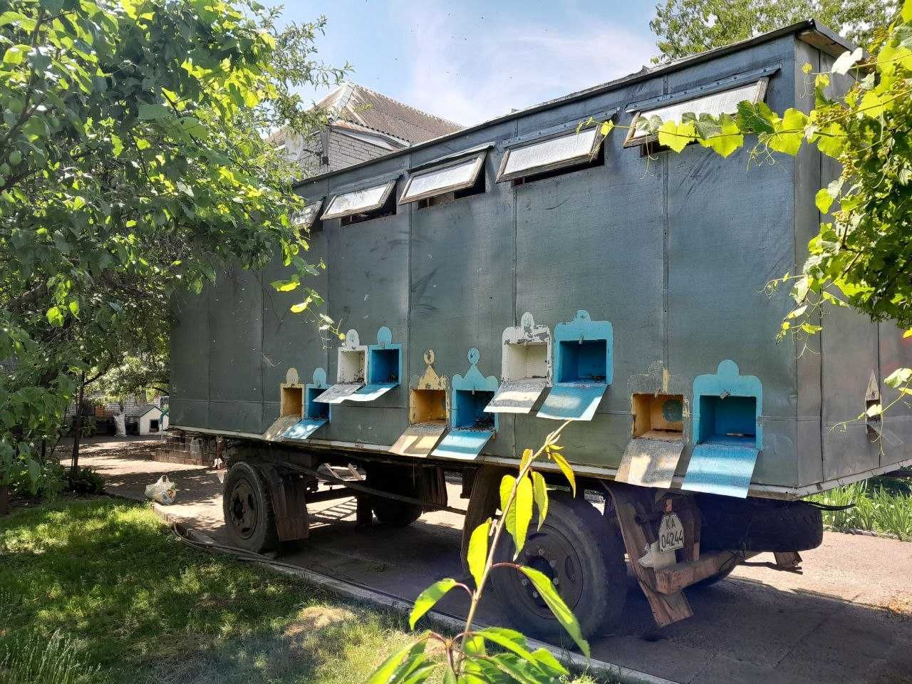 Продам пасіку з бджолами та інвентарем все під ключ