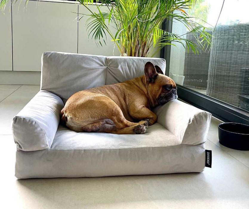 Legowisko dla psa COUCH 80 x 60 cm