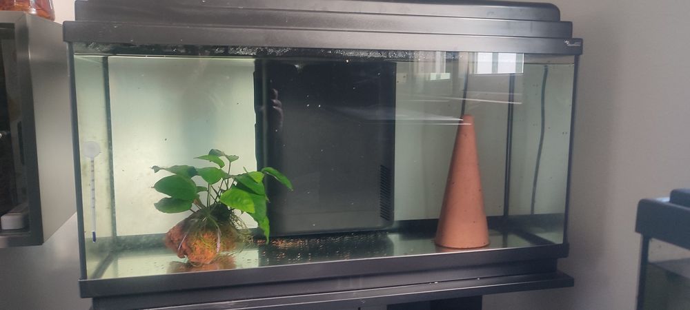 Aquário 80 L aquatlantis e móvel