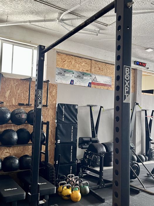 Squat Stand and Pullup station