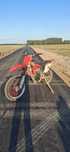 Honda crf 450 swap china 250
