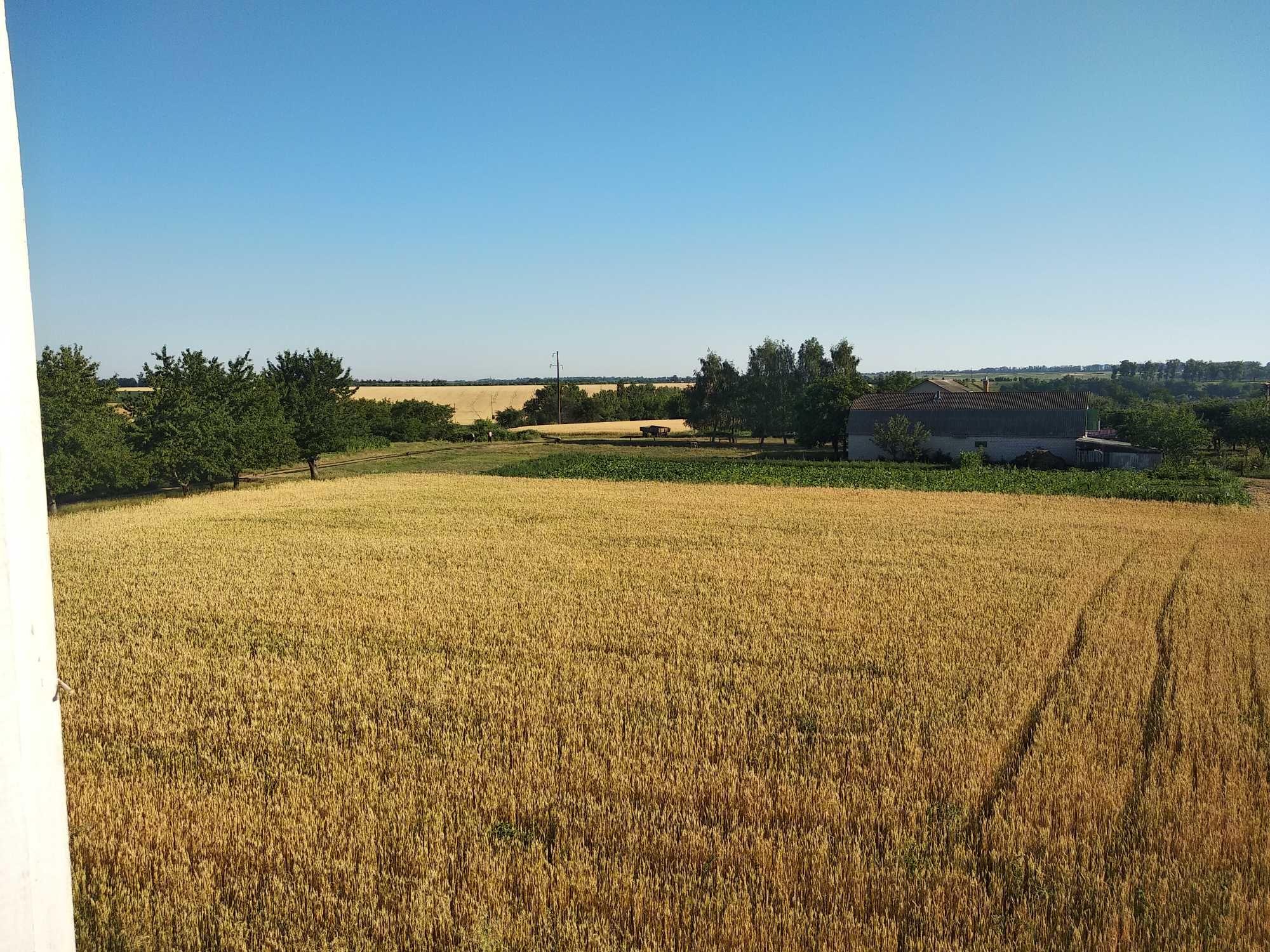 Продам будинок в с. Прибережне Ружинського р.н Житомирської обл.