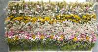 Велика картина гобелен з натуральних квітів та трав Квітучий луг