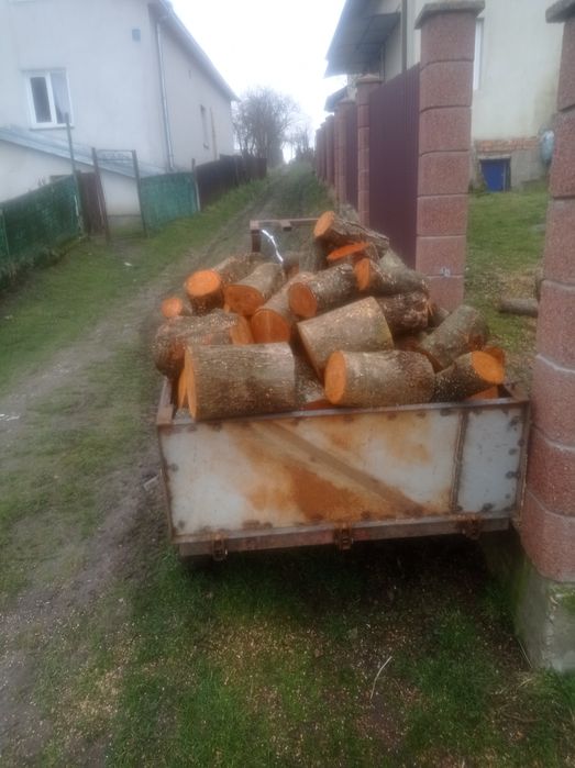 Трицикил муравей