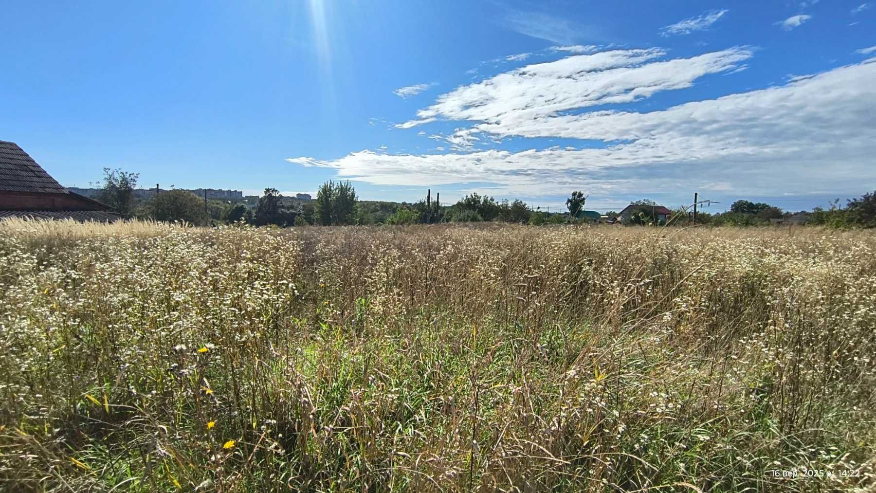 Продаж земельної ділянки, р-н Гречани