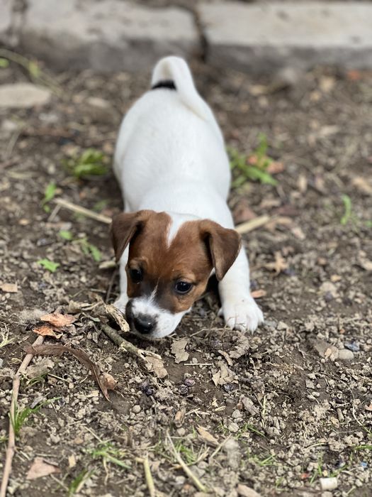 Гарнюсенька дівчинка чекає на батьків