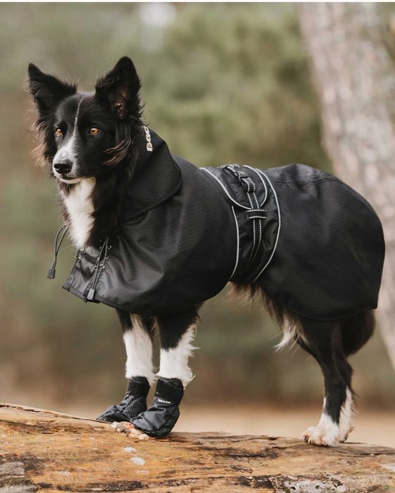 Back on Track przeciwdeszczowa kurtka dla psa 46