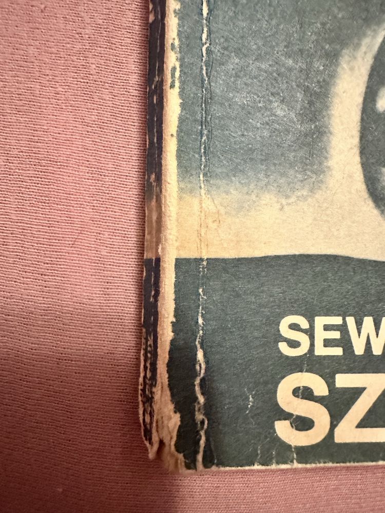 Zapowiada się piękny dzień. Seweryna Szmaglewska