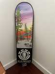 Element Skate Board