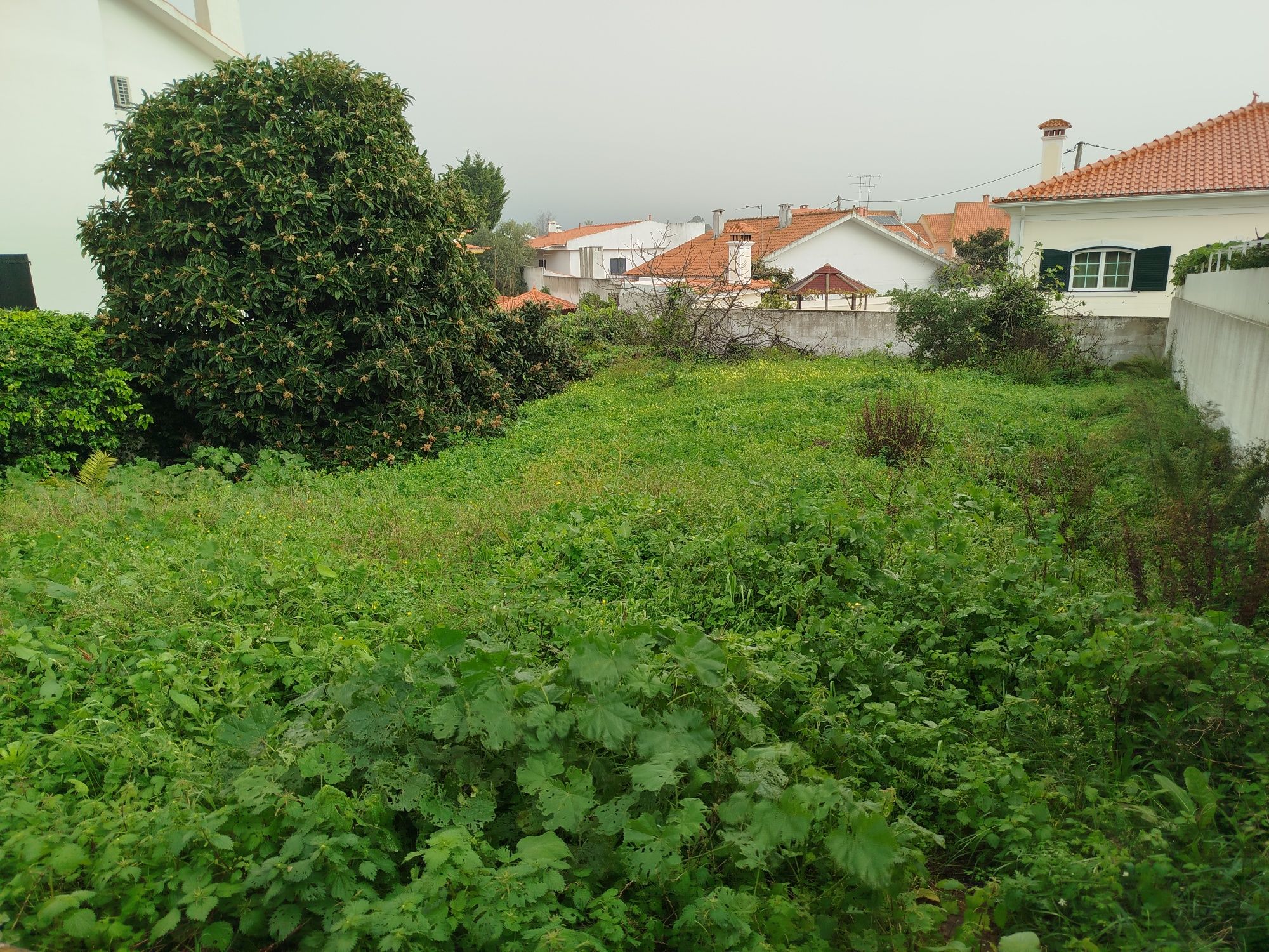 Terreno Na Sobreda, 403 m²