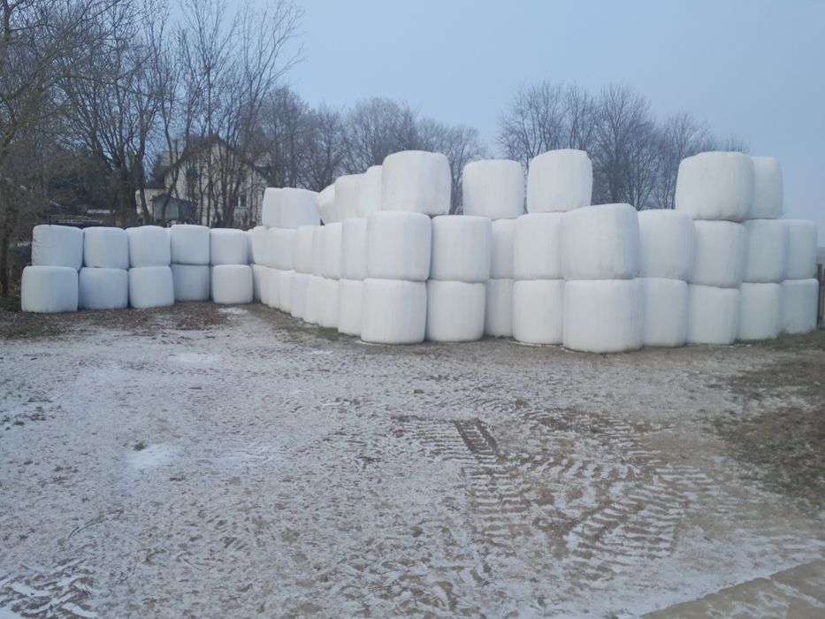 Baloty sianokiszonka