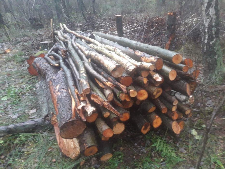 Drewno opałowe z transportem