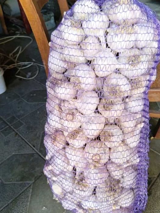 Сушена чорниця,брусниця,лохина,вишня,смородина,айва