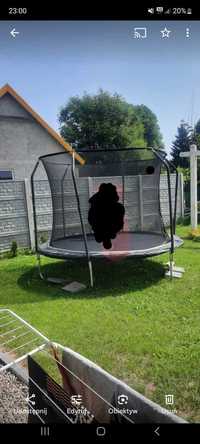 Trampolina ogrodowa ok 300cm