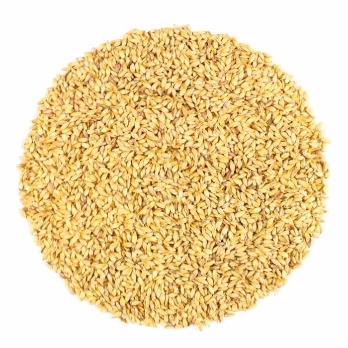 Maltes (em grão) para fabrico de cerveja artesanal