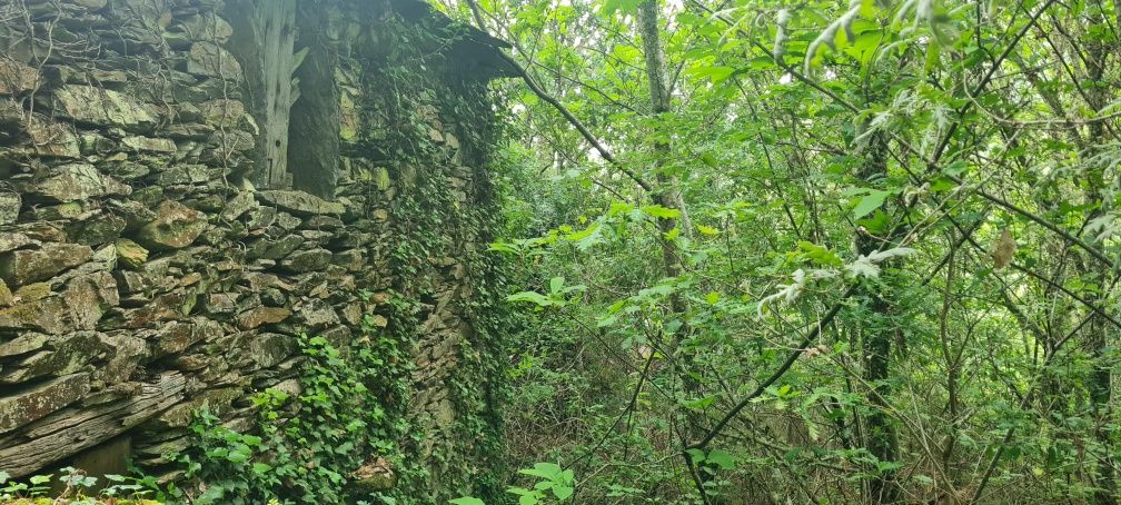 2 casas em pedra, xisto e lousa em ambiente natural
