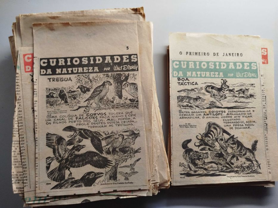 Curiosidades da Natureza por Walt Disney 330 Recortes de Jornal 1960s