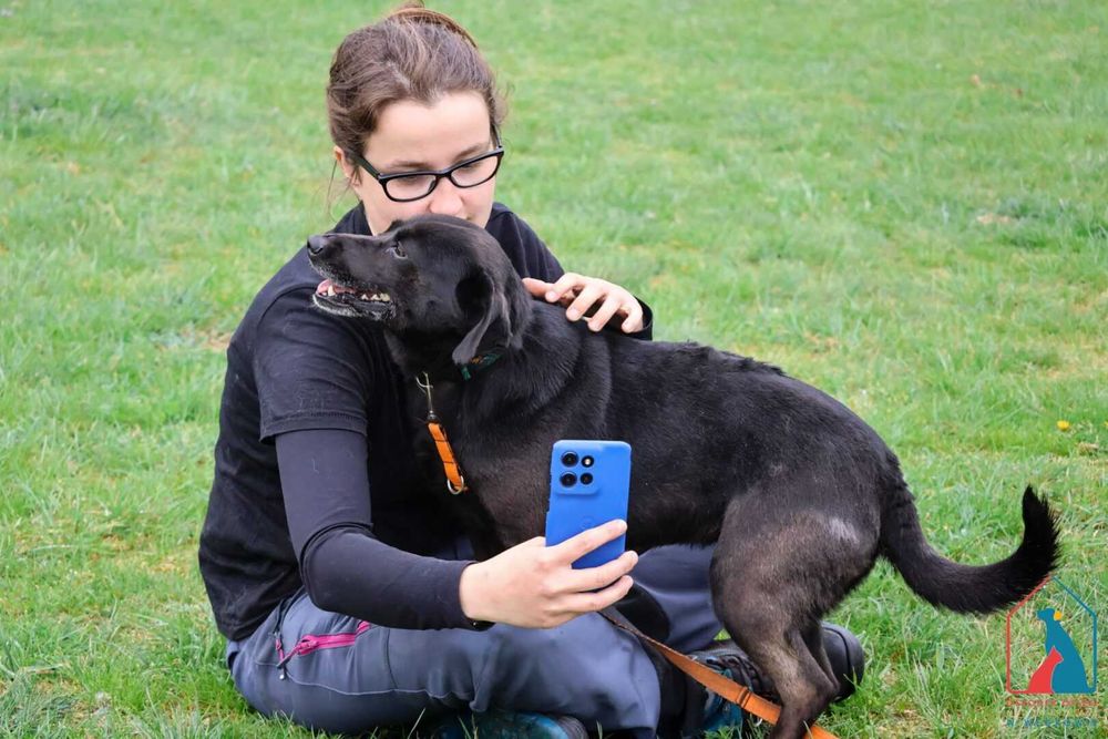 Wyjątkowo oddana, kocha ludzi, radosna - idealny przyjaciel - adoptuj