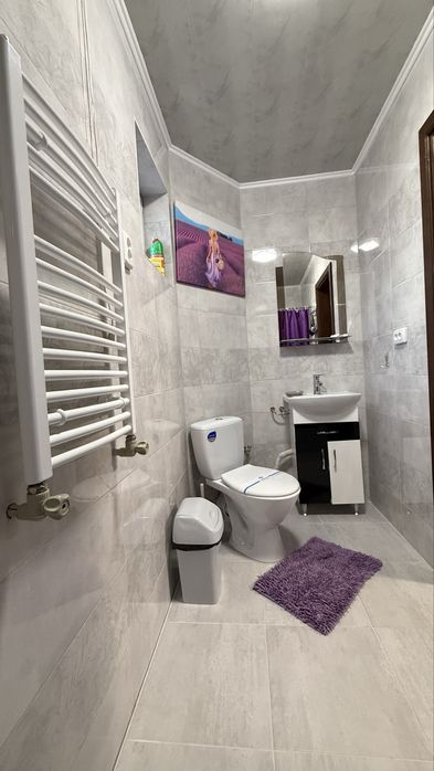 Котедж. с. Сойми.Чан/Синевир/ Шипіт