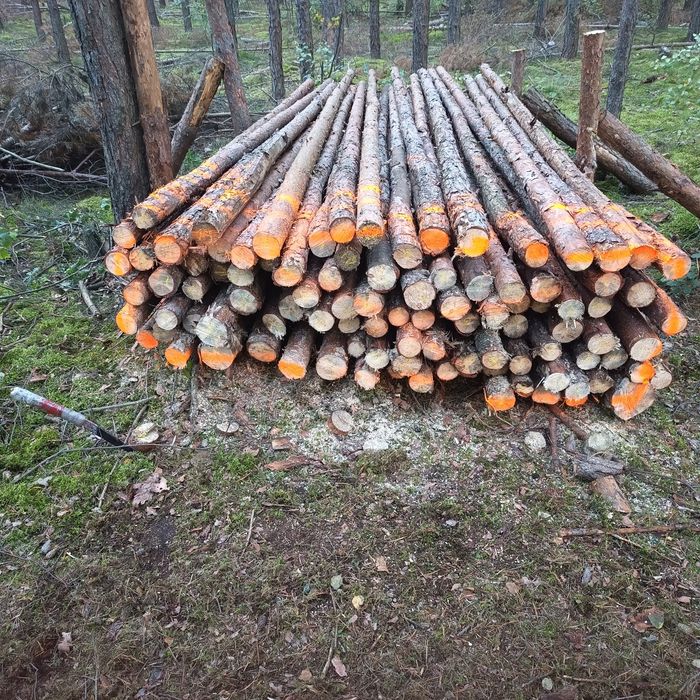 Stęple Budowlane Nowe