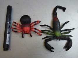 Скорпион паук большие