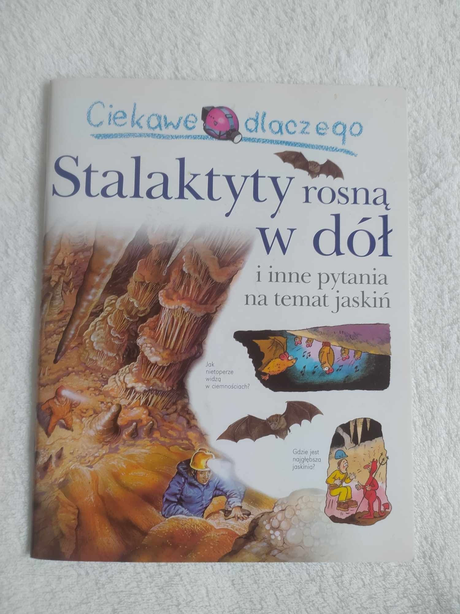 Książka edukacyjna "Ciekawe dlaczego stalaktyty rosną w dół."