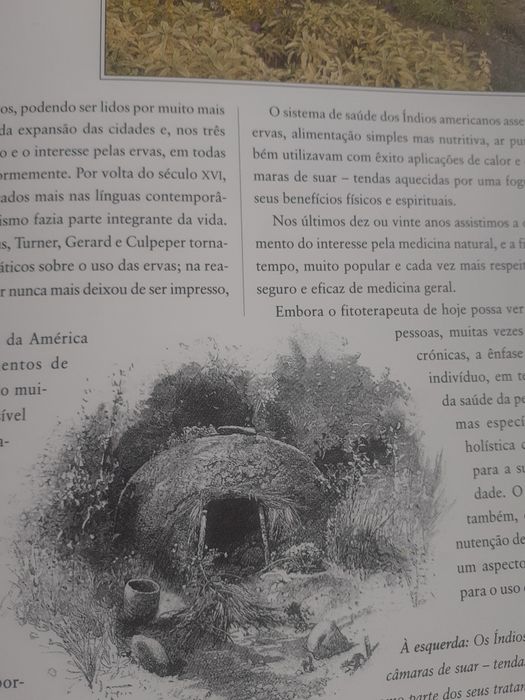 Livro " manual completo de Medicinas Naturais ", Mark Evans,