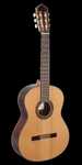 Paco Castillo 203 gitara klasyczna Made in Spain -Solid Top