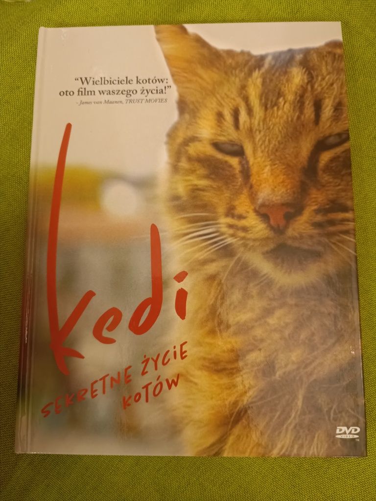 kedi Sekretne życie kotów Film DVD