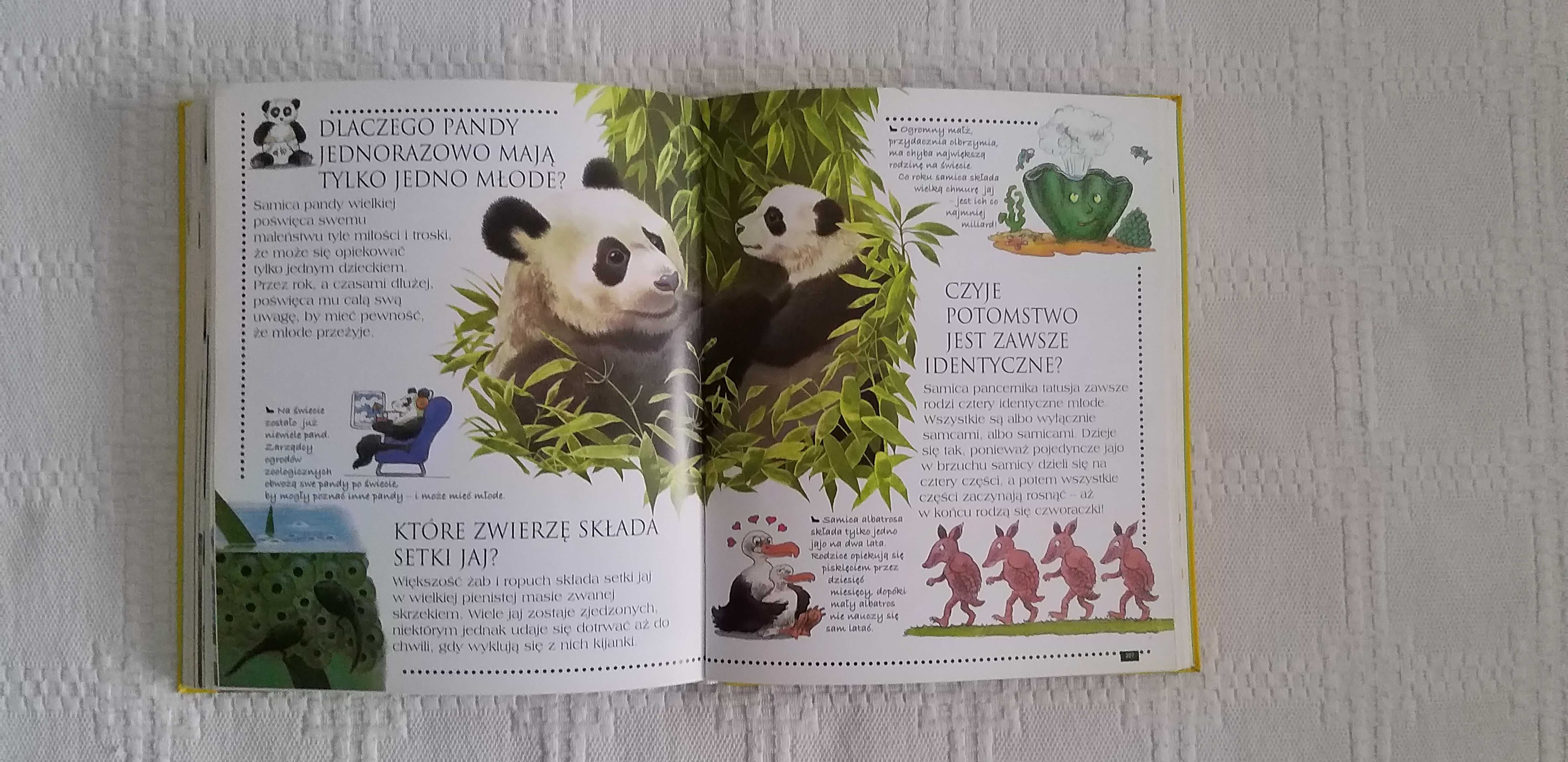 Księga zwierząt z serii Ciekawe dlaczego książka edukacyjna dla dzieci