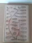 Formikarium drewniane 15x10