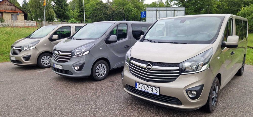 Wynajem busa 9 osobowy Przeworsk opłacone winiety na Słowację i Węgry