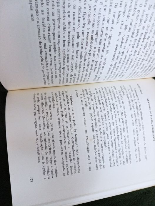 A poda em fruticultura: noções práticas e novos métodos -Menezes 1977*